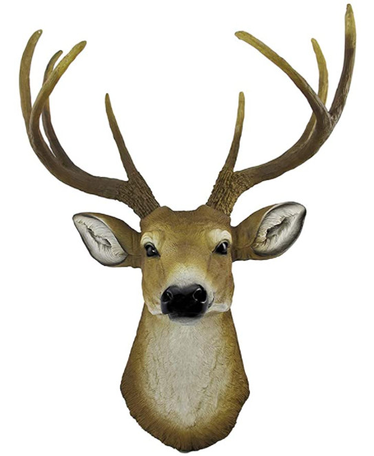 Deer Mounted Image